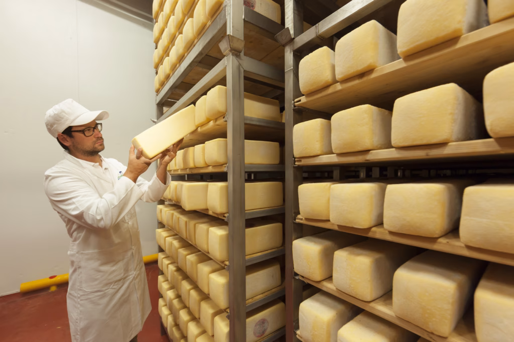 Südtirol, Sennerei 3 Zinnen, Hochpustertal, Milchprodukte, Schaukäserei, Schausennerei, Käseherstellung, Käse, Käsekeller, Stangenkäse, Reifen,