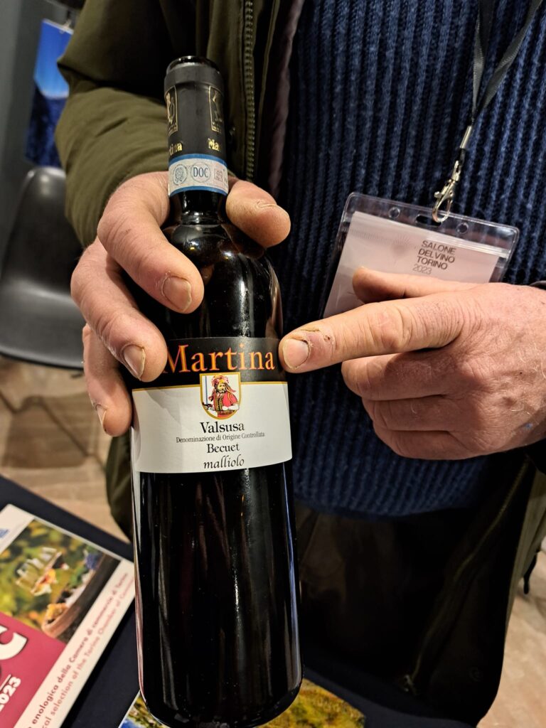 Tasting Life al primo Salone del Vino Torino 2023 7 Tasting Life al primo Salone del Vino Torino 2023