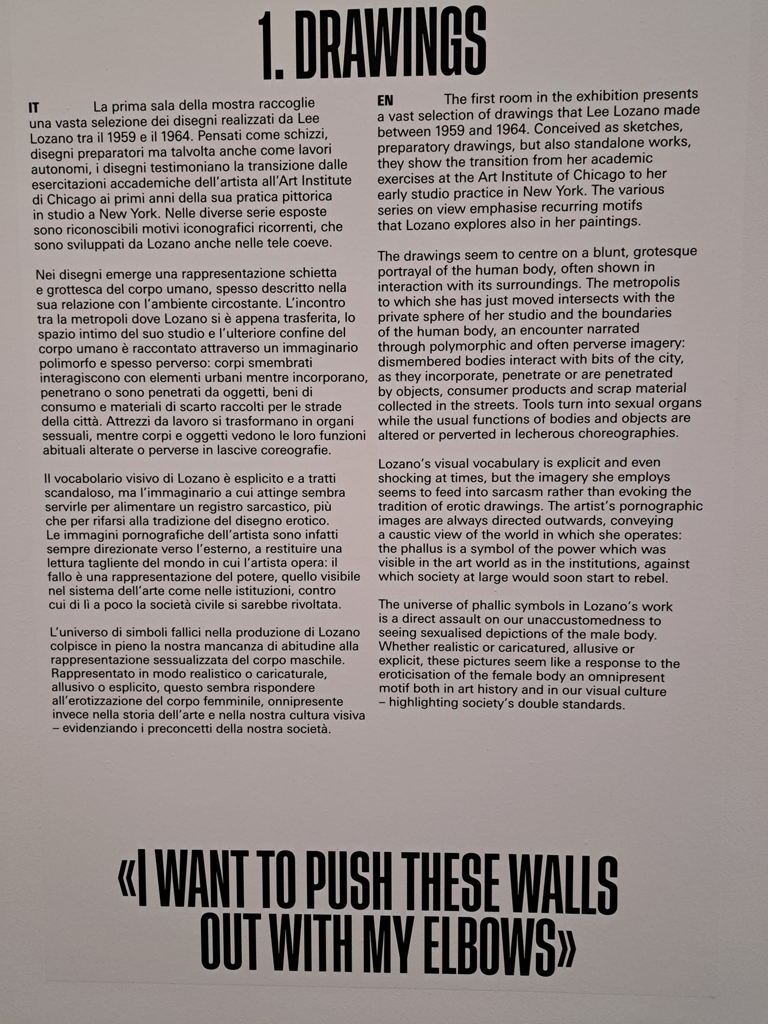 "Lee Lozano. Strike" Pinacoteca Agnelli