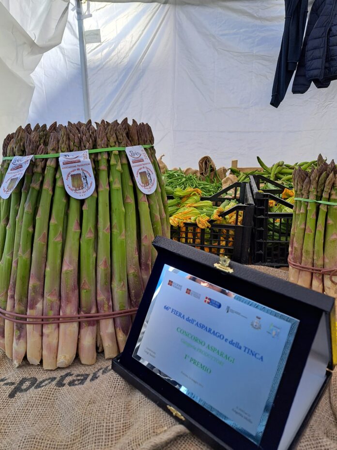 Fiera dell’Asparago e della Tinca di Poirino