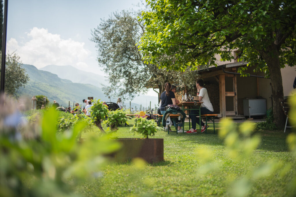 2 giugno: appuntamento al Picnic dei Vignaioli del Trentino a Gardolo di Trento, un'occasione da vivere tra viti e vignaioli 2 Luca Riviera Picnic dei Vignaioli