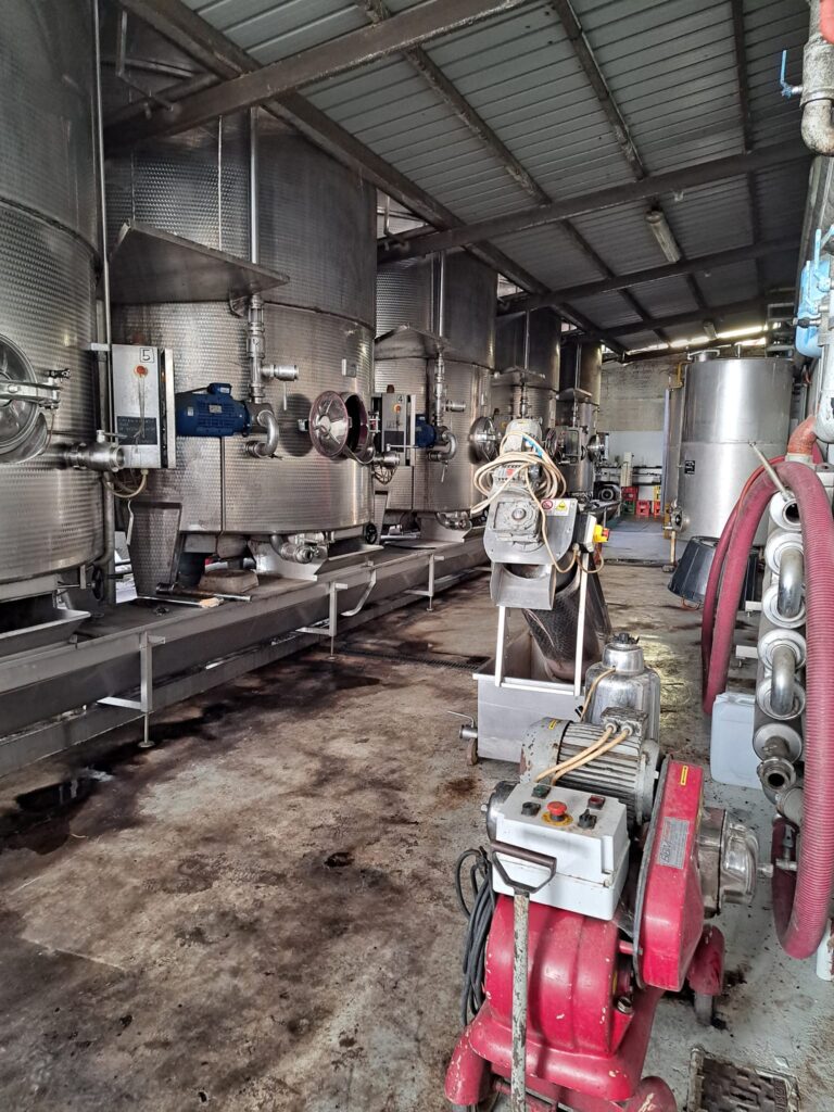 Esplorando la Cantina della Serra di Piverone 6 Esplorando la Cantina della Serra di Piverone