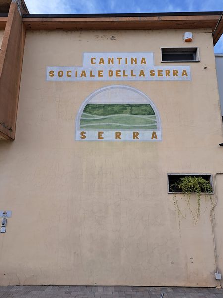 Esplorando la Cantina della Serra di Piverone 15 Esplorando la Cantina della Serra di Piverone