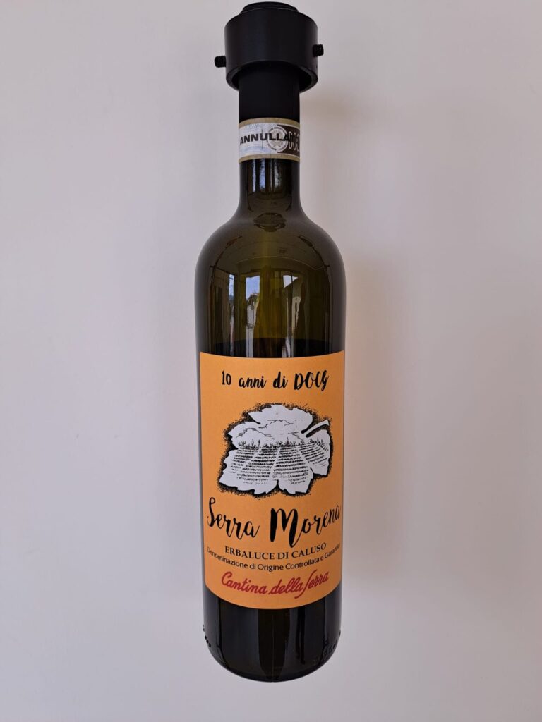 Esplorando la Cantina della Serra di Piverone 13 Esplorando la Cantina della Serra di Piverone