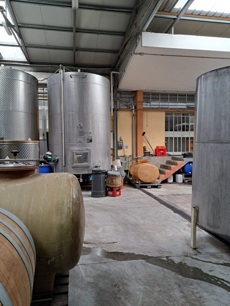 Esplorando la Cantina della Serra di Piverone 5 Esplorando la Cantina della Serra di Piverone