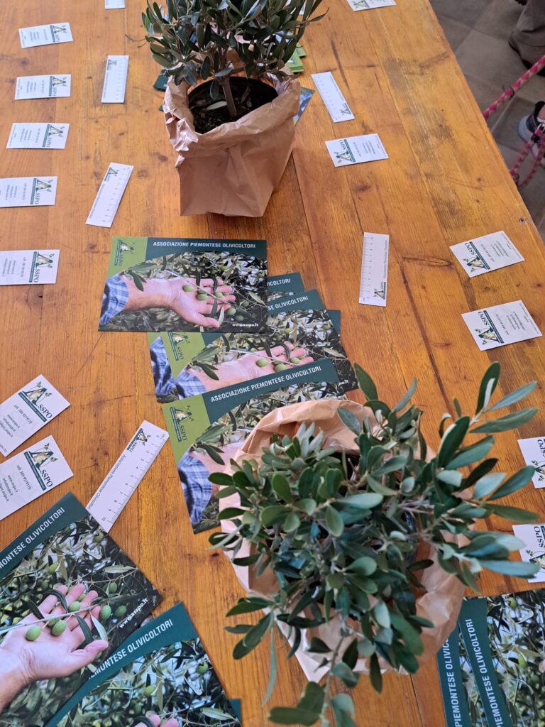 L'Associazione Piemontesi Olivicoltori celebra il suo ventennale 3 Ventennale Vialfrè
Associazione Piemontesi Olivicoltori (ASSPO)