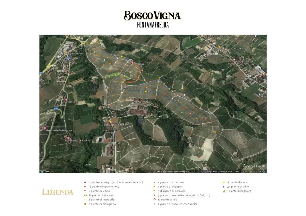 Bosco Vigna, il progetto-manifesto di Fontanafredda 1 Bosco Vigna Fontanafredda