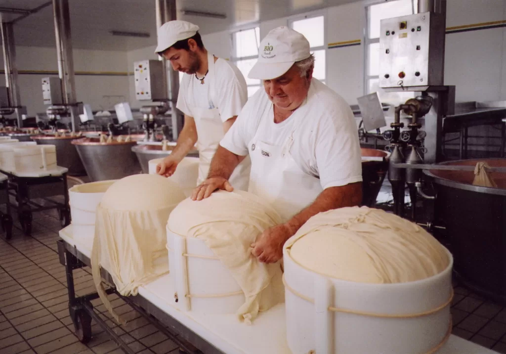 Caseifici Aperti: torna l'appuntamento con il Parmigiano Reggiano, Sabato 20 e domenica 21 aprile 2024 1 Parmigiano Reggiano Fascera