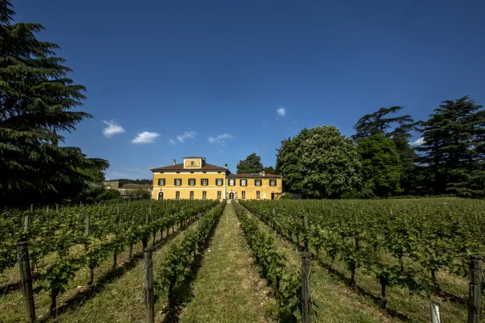 Monsel Vigneto E Villa Frontale