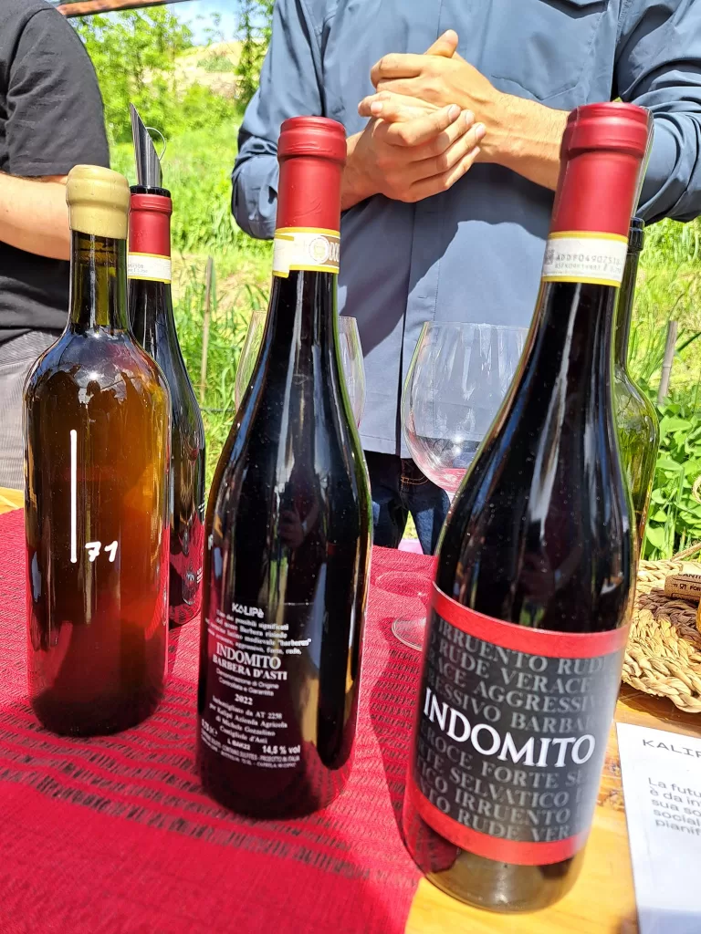 Prima Era 2024: Il 4 maggio a Costigliole d'Asti per un futuro edibile tra vino e agricoltura 12 Prima Era Duipuvrun