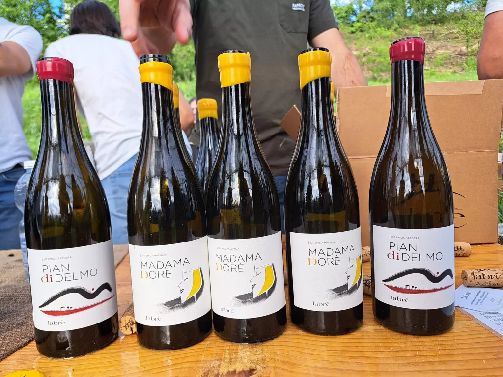 Prima Era 2024: Il 4 maggio a Costigliole d'Asti per un futuro edibile tra vino e agricoltura 8 Prima Era Duipuvrun