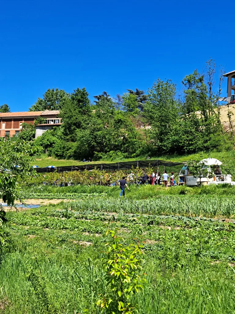 Prima Era 2024: Il 4 maggio a Costigliole d'Asti per un futuro edibile tra vino e agricoltura 2 Prima Era Duipuvrun