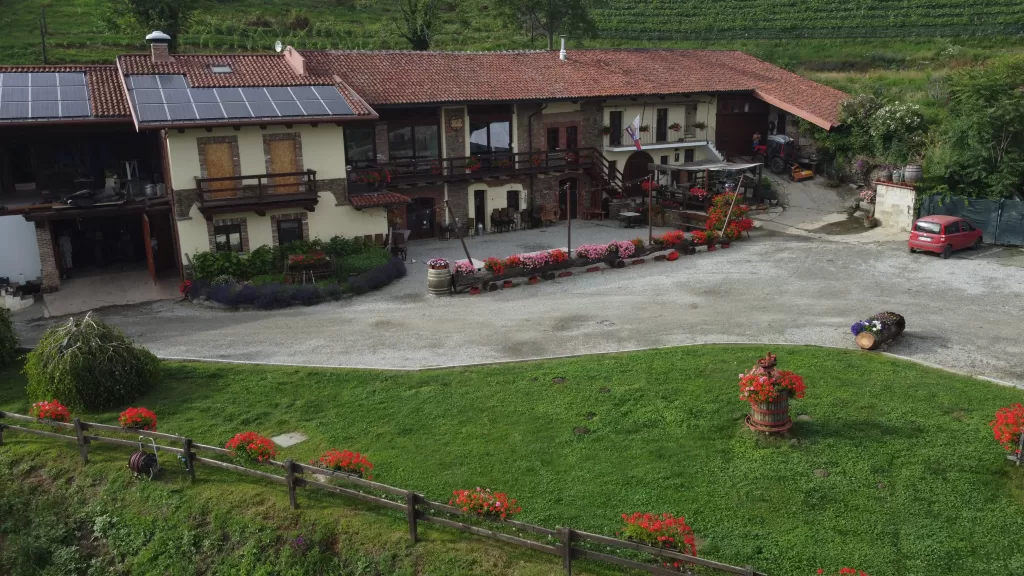 Daidellerba azienda Agricola 