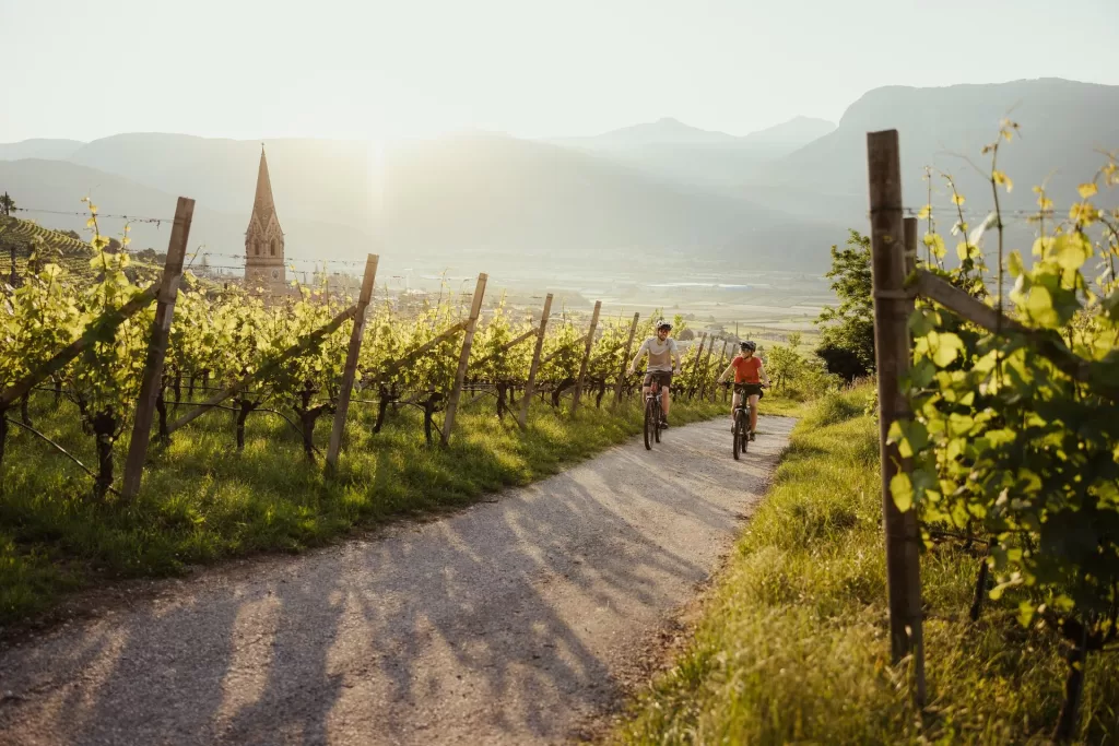 Alto Adige: Estate 2024 tra vigneti e sapori, in bici o a piedi tra natura e cultura 1 ph credits IDM Sudtirol-Alto Adige Manuel Ferrigato