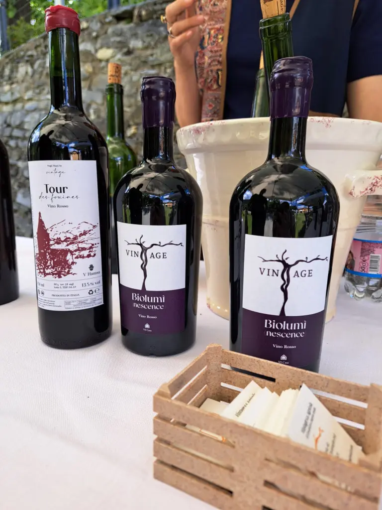 Due giorni di Festa al Castello di Aymavilles per i 50 anni dell'AIS Valle d'Aosta - 31 maggio e 1 giugno 2024 10 Castello di Aymavilles 50 anni dell'AIS Valle d'Aosta