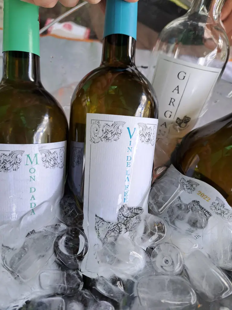 Due giorni di Festa al Castello di Aymavilles per i 50 anni dell'AIS Valle d'Aosta - 31 maggio e 1 giugno 2024 22 Castello di Aymavilles 50 anni dell'AIS Valle d'Aosta