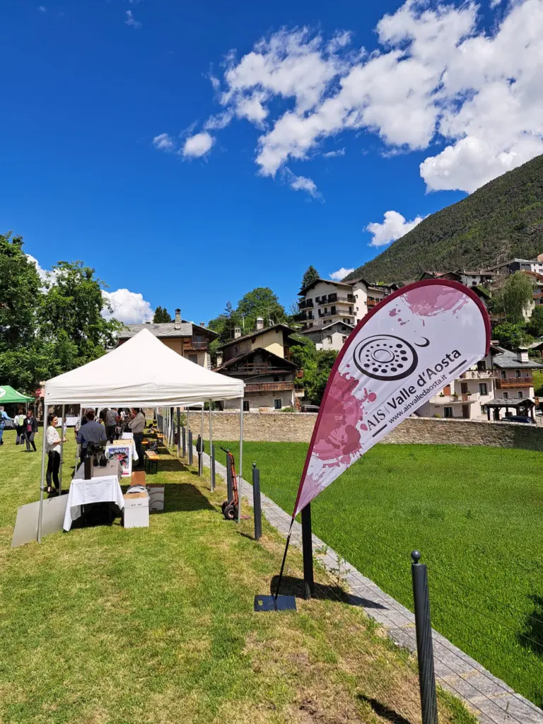 Due giorni di Festa al Castello di Aymavilles per i 50 anni dell'AIS Valle d'Aosta - 31 maggio e 1 giugno 2024 3 Castello di Aymavilles 50 anni dell'AIS Valle d'Aosta