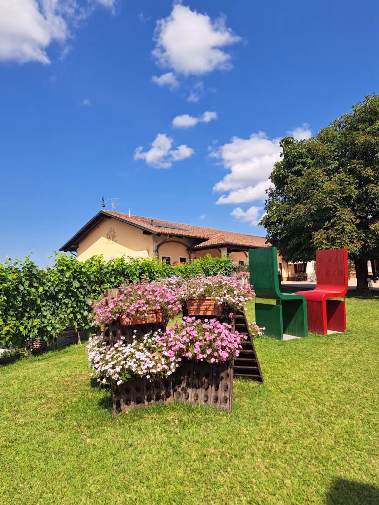 Picnic in vigna: l’esperienza della Cantina Massucco tra i filari del Roero 1 Cantina Massucco