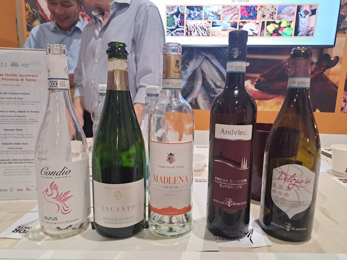 Le Cucine del Mondo incontrano i Vini della Provincia di Torino, quattro piatti e i vini torinesi a Terra Madre, 27 settembre 2026 11 Le Cucine del Mondo incontrano i Vini della Provincia di Torino, quattro piatti e i vini torinesi a Terra Madre, 27 settembre 2026