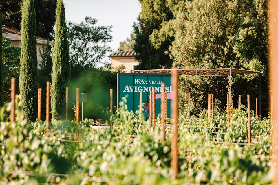 Avignonesi presenta 300% Sangiovese: Annata, Tempo e Luogo raccontano Montepulciano 1 Avignonesi presenta 300% Sangiovese: Annata, Tempo e Luogo raccontano Montepulciano