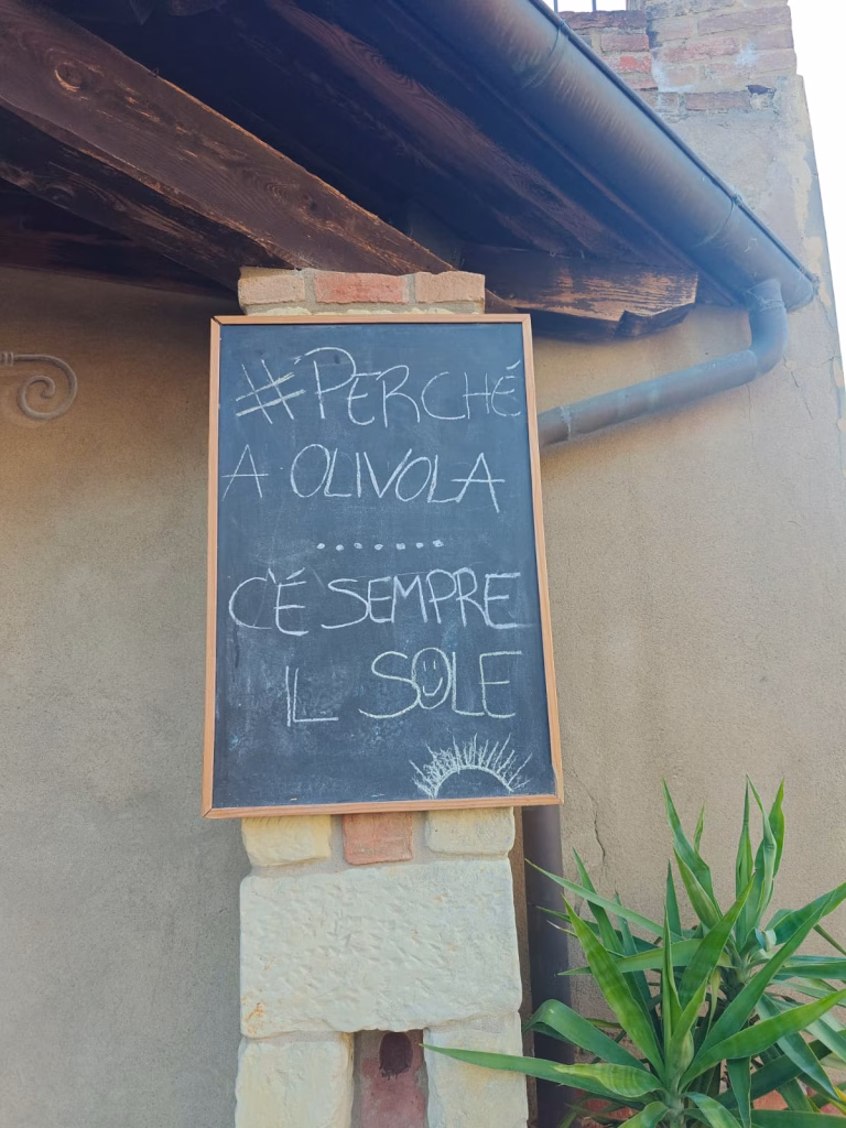 "EVO Wine Day 2025" a Olivola (AL), dove l&rsquo;Olio incontra il Vino