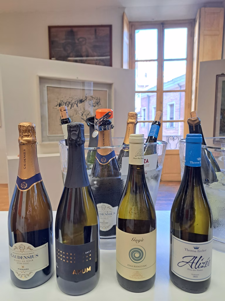 "Il Nizza è" 2024: Presentazione dell'evento e degustazione del Nizza DOCG a Nizza Monferrato 20 Associazione Produttori del Nizza Il Nizza È Nizza Monferrato