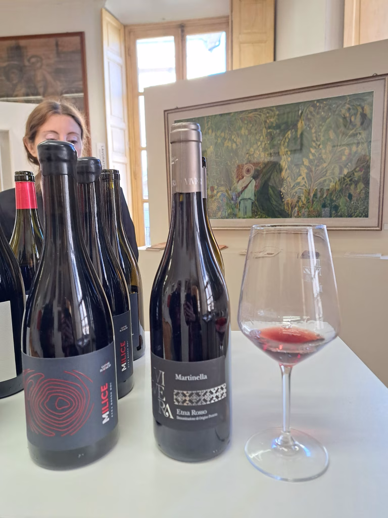 "Il Nizza è" 2024: Presentazione dell'evento e degustazione del Nizza DOCG a Nizza Monferrato 21 Associazione Produttori del Nizza Il Nizza È Nizza Monferrato