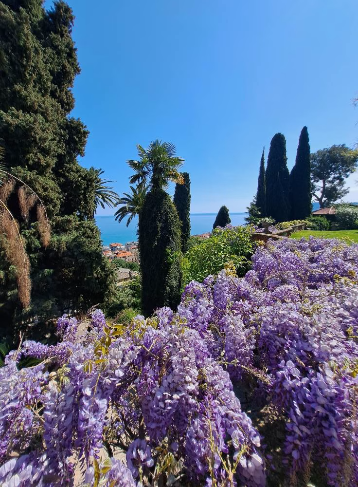 Il fascino dei Giardini di Villa della Pergola: Glicini, Storia e Paesaggio ad Alassio