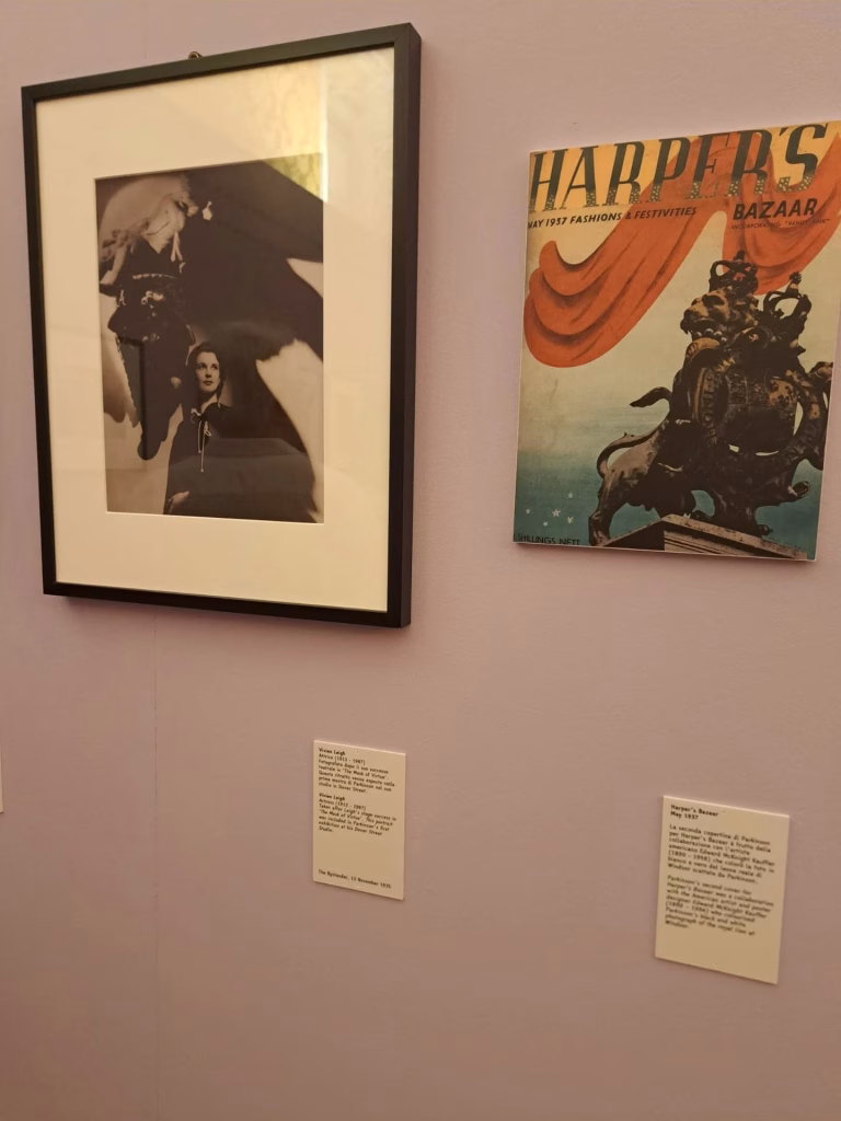 Palazzo Barolo di Torino - Norman Parkinson
