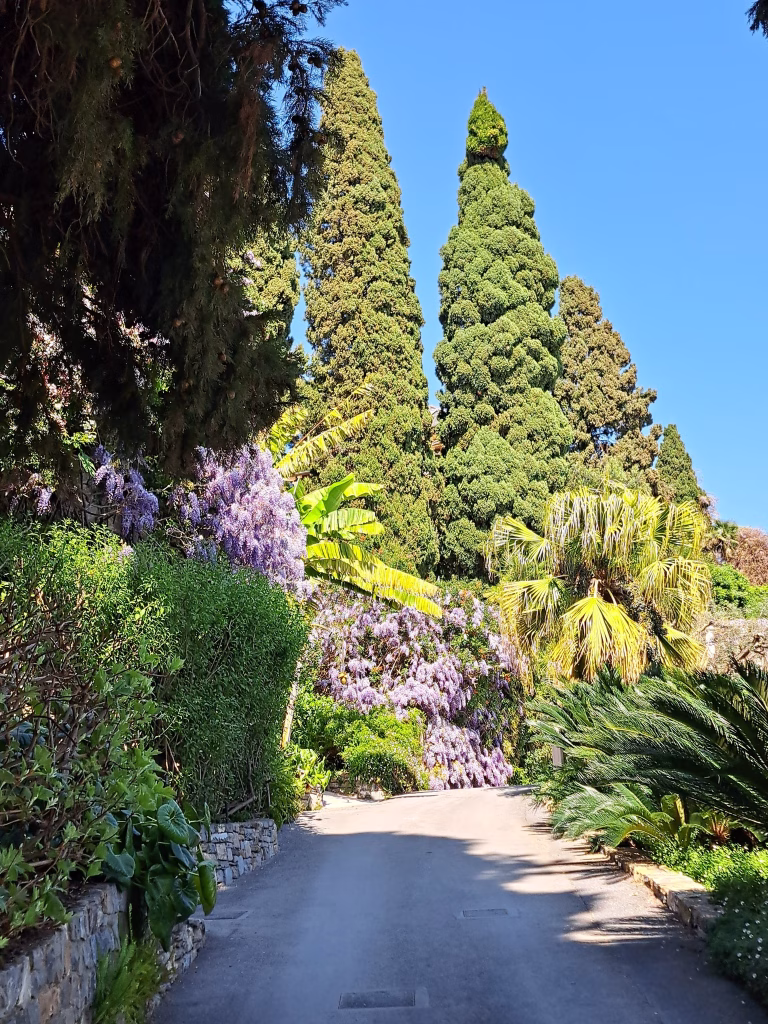 Il fascino dei Giardini di Villa della Pergola: Glicini, Storia e Paesaggio ad Alassio