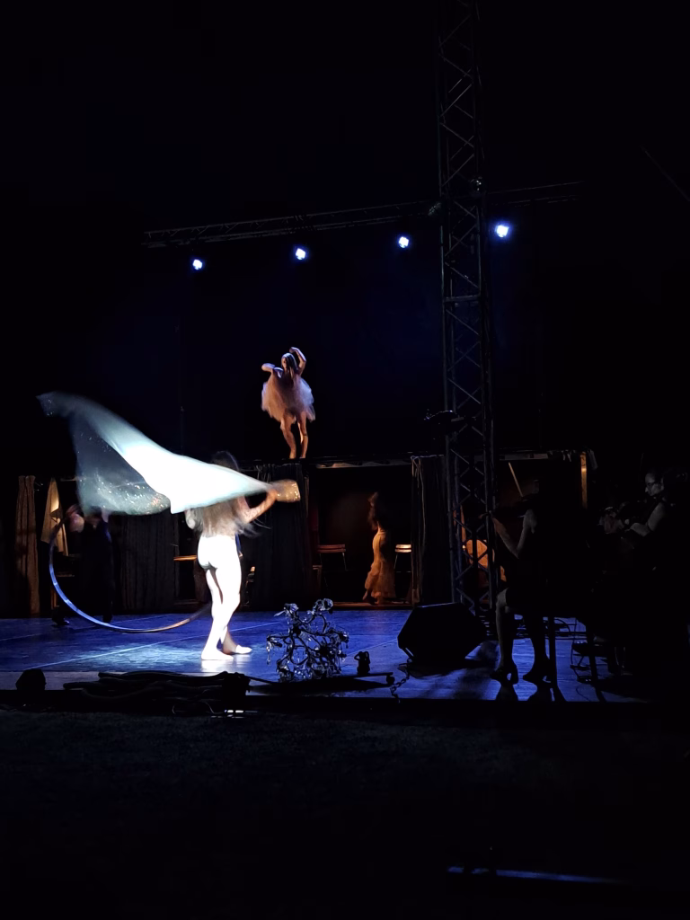 Musica, danza e acrobazie: Antica Distilleria Quaglia accompagna la rassegna firmata blucinQue 15 Musica, danza e acrobazie: Antica Distilleria Quaglia accompagna la rassegna firmata blucinQue
