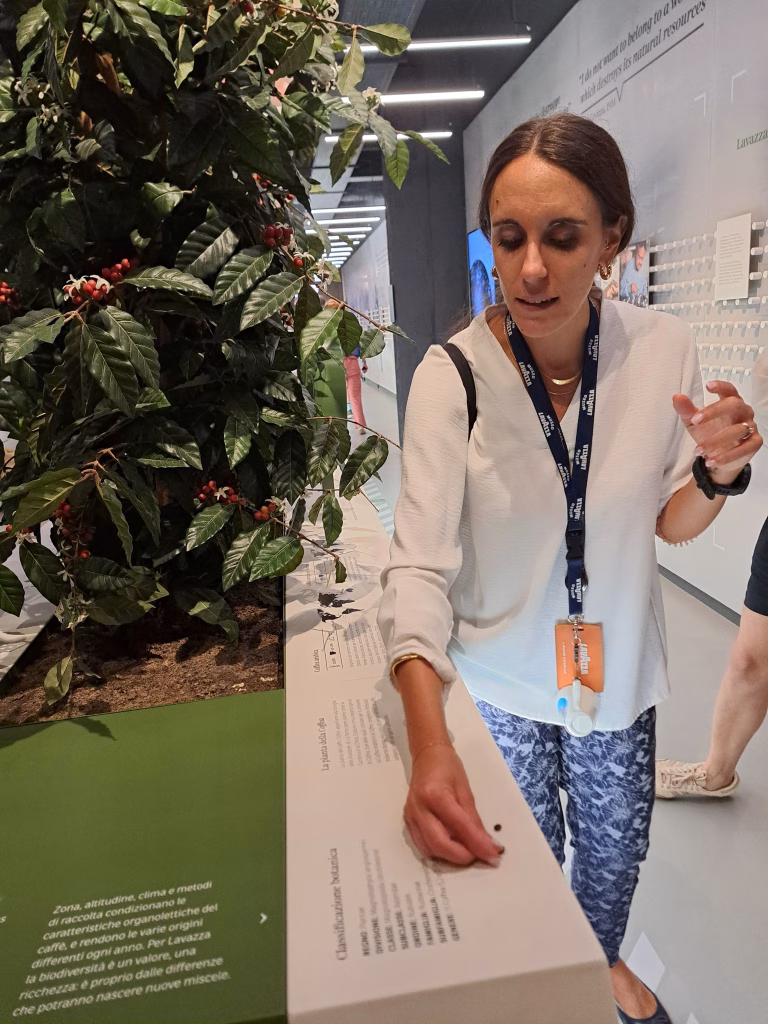Museo Lavazza a Torino: un’esperienza che attraversa 120 anni di storie