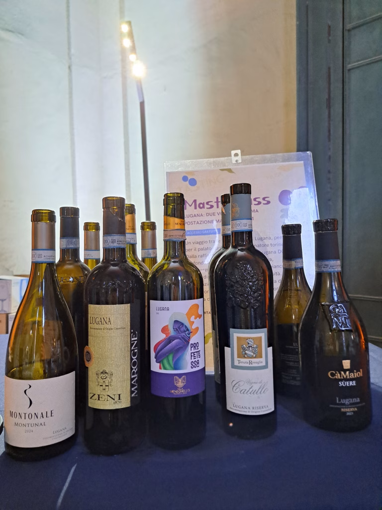 Vendemmia Reale 2025: l’evento di Torino Wine Week e Club Silencio tra Vino e Arte 5 Vendemmia Reale 2025: l’evento di Torino Wine Week e Club Silencio tra Vino e Arte