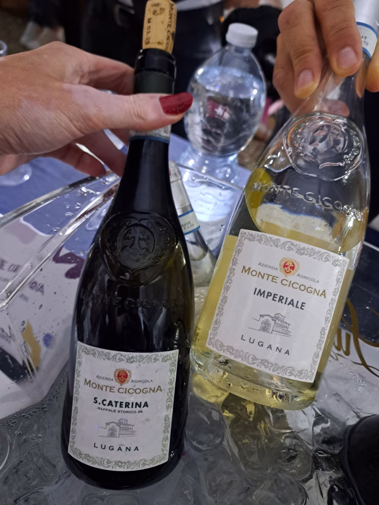 Vendemmia Reale 2025: l’evento di Torino Wine Week e Club Silencio tra Vino e Arte 6 Vendemmia Reale 2025: l’evento di Torino Wine Week e Club Silencio tra Vino e Arte