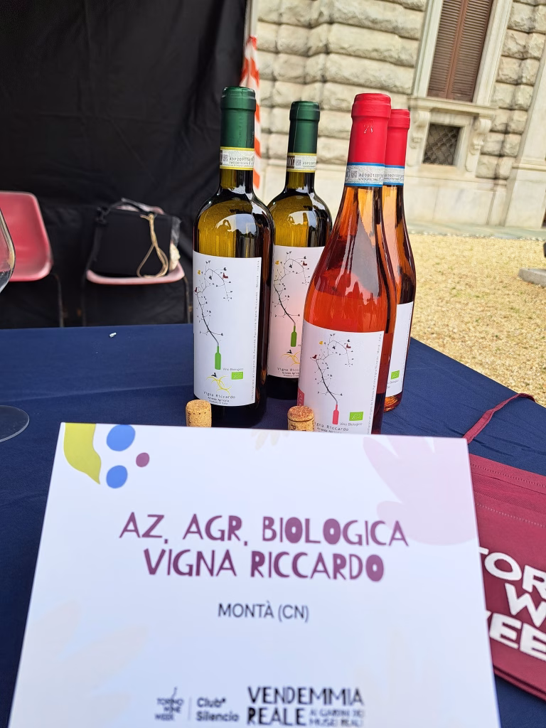 Vendemmia Reale 2025: l’evento di Torino Wine Week e Club Silencio tra Vino e Arte 18 Vendemmia Reale 2025: l’evento di Torino Wine Week e Club Silencio tra Vino e Arte