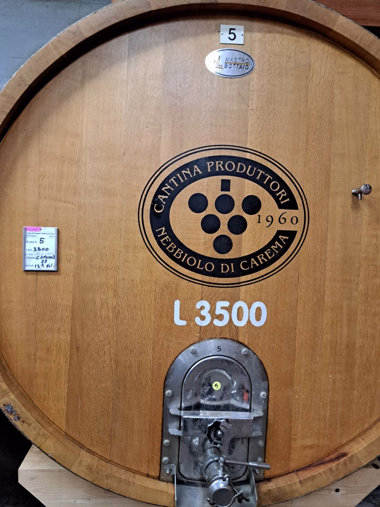 Coldiretti Torino a Carema: viaggio tra i vigneti eroici della Cantina dei Produttori Nebbiolo di Carema