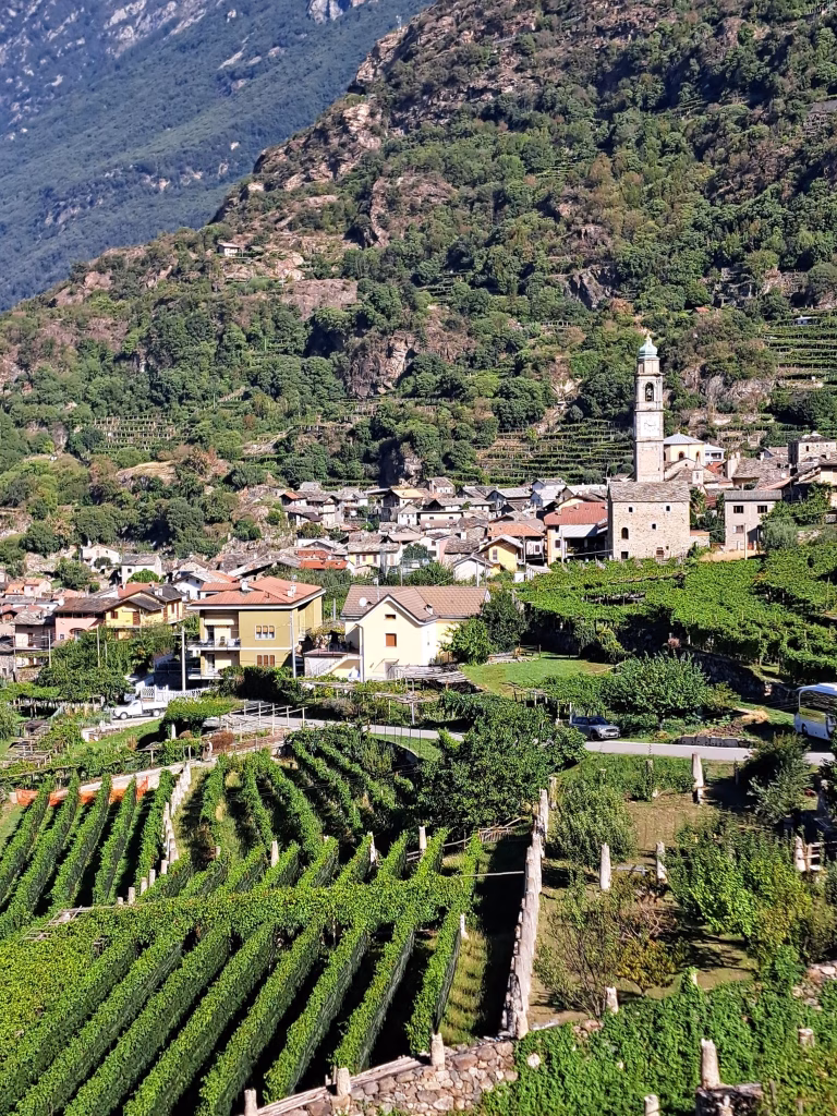 Coldiretti Torino a Carema: viaggio tra i vigneti eroici della Cantina dei Produttori Nebbiolo di Carema