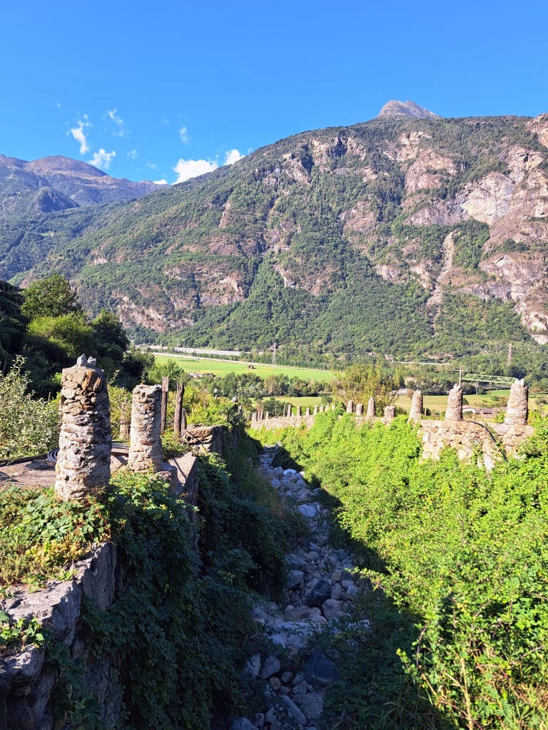 Coldiretti Torino a Carema: viaggio tra i vigneti eroici della Cantina dei Produttori Nebbiolo di Carema