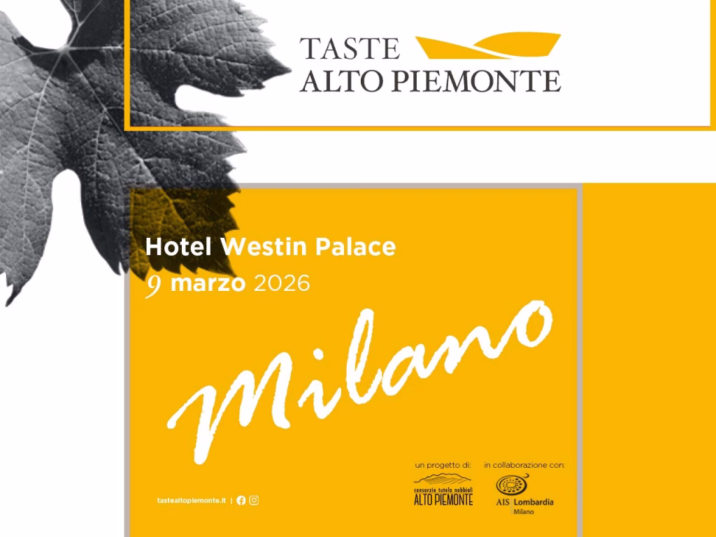 Taste Alto Piemonte 2026, appuntamento il 9 marzo a Milano con 33 produttori 1 Taste Alto Piemonte