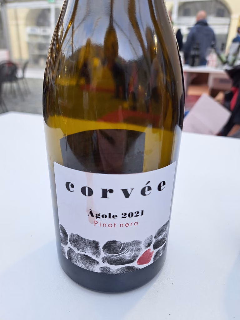 Due giorni di viticoltura eroica al Forte di Bard: Vins Extrêmes 2025 (22–23 novembre) 5 Due giorni di viticoltura eroica al Forte di Bard: Vins Extrêmes 2025 (22–23 novembre)
