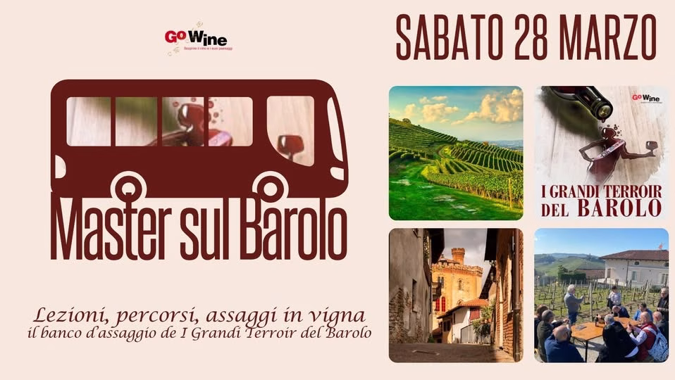 Go Wine porta a Monforte d’Alba I Grandi Terroir del Barolo tra M.G.A. e nuove annate – 28-29 marzo 2026 1 I Grandi Terroir del Barolo - Go Wine