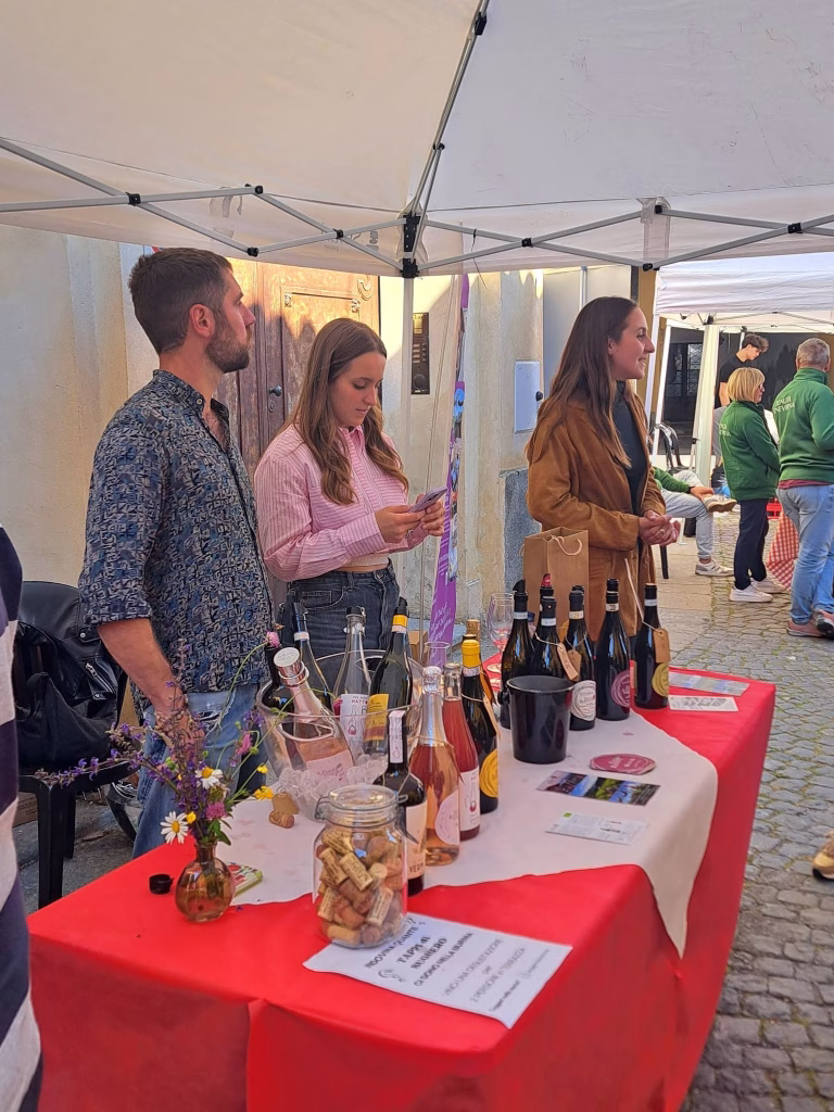 Cocco Wine Stories – Messaggi in bottiglia 2026, conclusa a Cocconato la seconda edizione 7 Cocco Wine Stories – Messaggi in bottiglia 2026, conclusa a Cocconato la seconda edizione