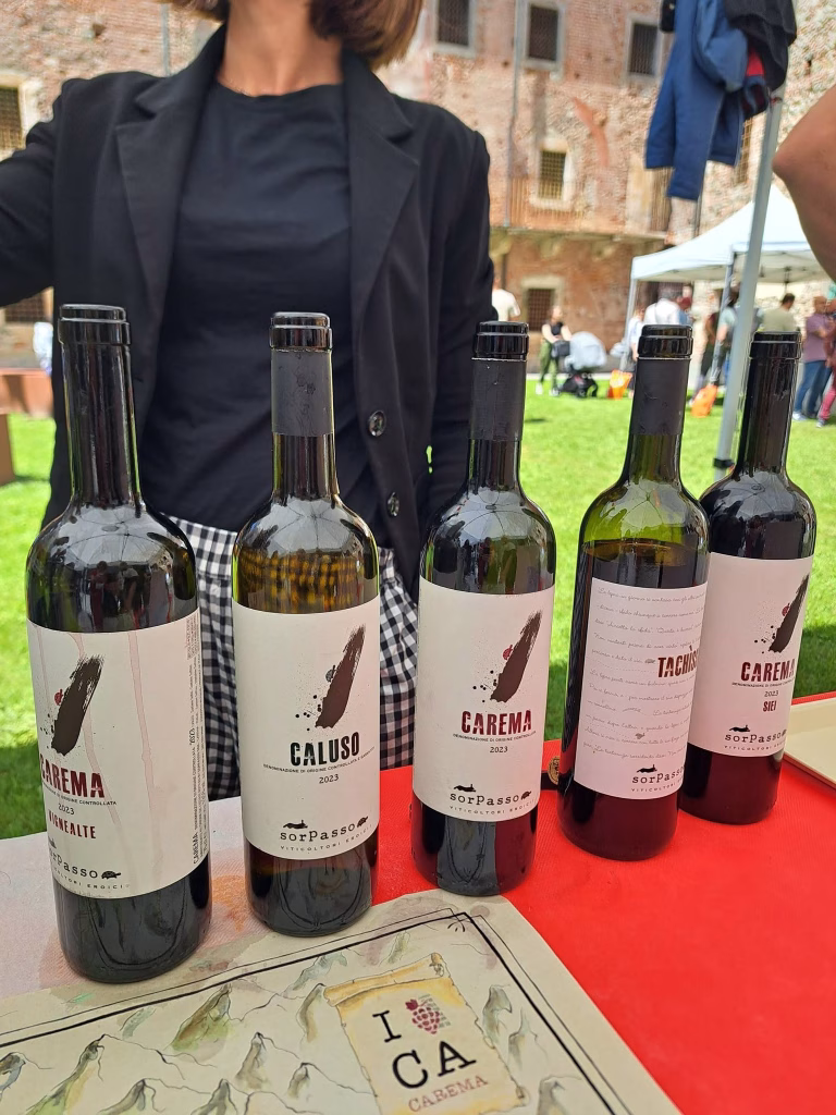 ReWine Canavese 2026, al Castello di Ivrea il territorio si racconta tra Erbaluce, Nebbiolo e masterclass 6 ReWine Canavese 2026, al Castello di Ivrea il territorio si racconta tra Erbaluce, Nebbiolo e masterclass