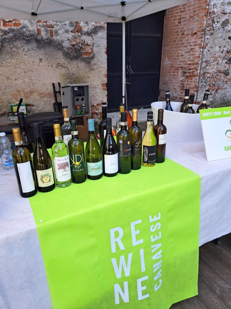 ReWine Canavese 2026, al Castello di Ivrea il territorio si racconta tra Erbaluce, Nebbiolo e masterclass 7 ReWine Canavese 2026, al Castello di Ivrea il territorio si racconta tra Erbaluce, Nebbiolo e masterclass