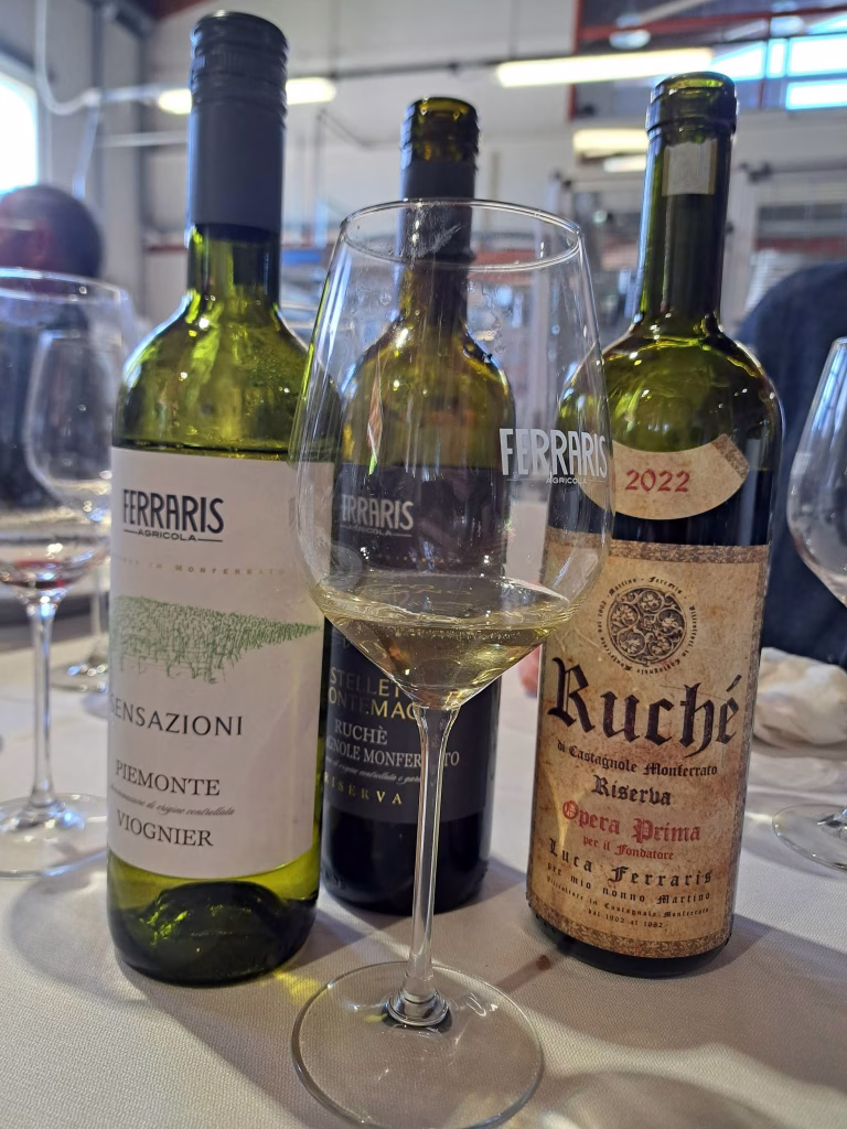 Vigna del Parroco, sessant’anni di Ruchè dove tutto è cominciato 25 Vigna del Parroco, sessant’anni di Ruchè dove tutto è cominciato