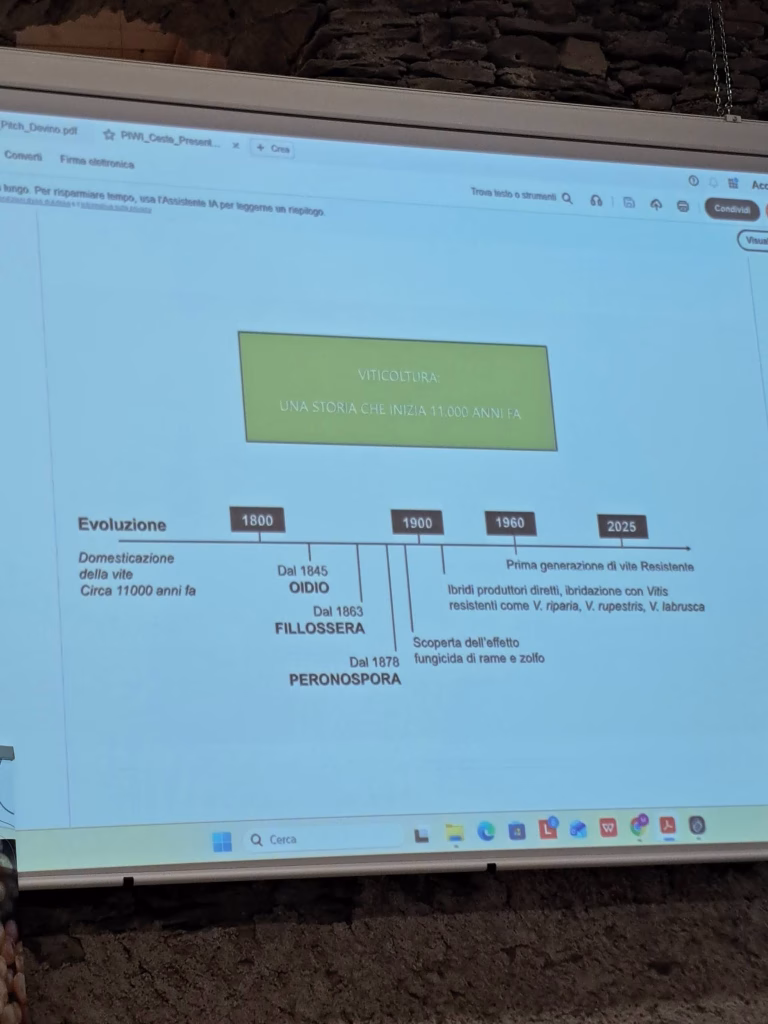 A Sampeyre si parla di futuro del vino tra viticoltura eroica, PIWI e dealcolazione 9 A Sampeyre si parla di futuro del vino tra viticoltura eroica, PIWI e dealcolazione