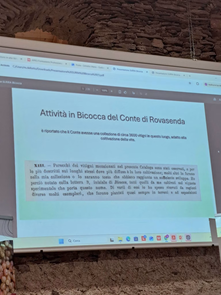 A Sampeyre si parla di futuro del vino tra viticoltura eroica, PIWI e dealcolazione 3 A Sampeyre si parla di futuro del vino tra viticoltura eroica, PIWI e dealcolazione
