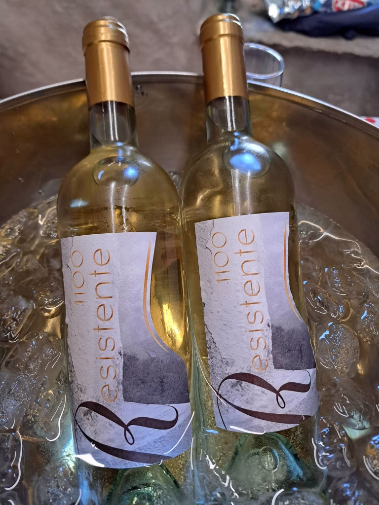 A Sampeyre si parla di futuro del vino tra viticoltura eroica, PIWI e dealcolazione 17 A Sampeyre si parla di futuro del vino tra viticoltura eroica, PIWI e dealcolazione