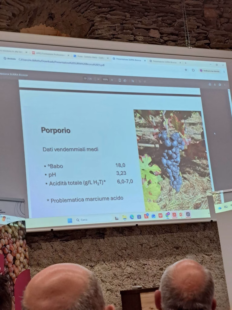 A Sampeyre si parla di futuro del vino tra viticoltura eroica, PIWI e dealcolazione 7 A Sampeyre si parla di futuro del vino tra viticoltura eroica, PIWI e dealcolazione