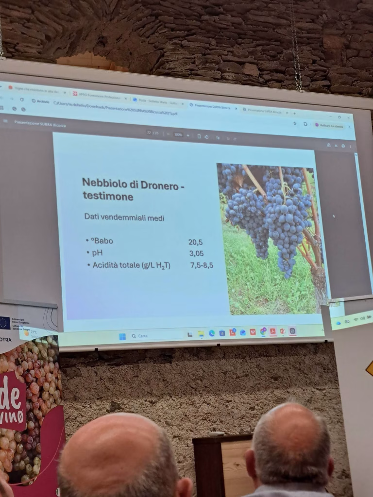 A Sampeyre si parla di futuro del vino tra viticoltura eroica, PIWI e dealcolazione 8 A Sampeyre si parla di futuro del vino tra viticoltura eroica, PIWI e dealcolazione
